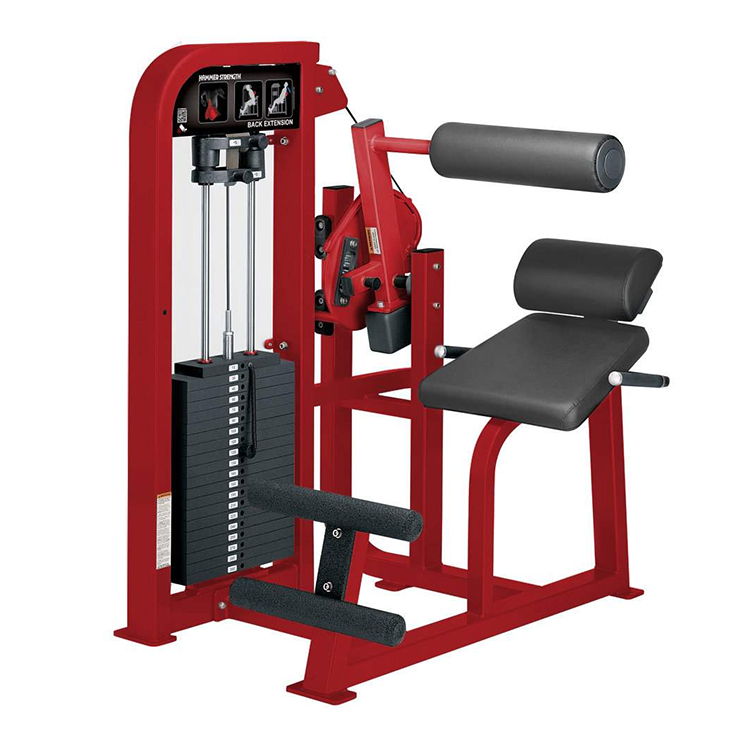 Muscoli della schiena