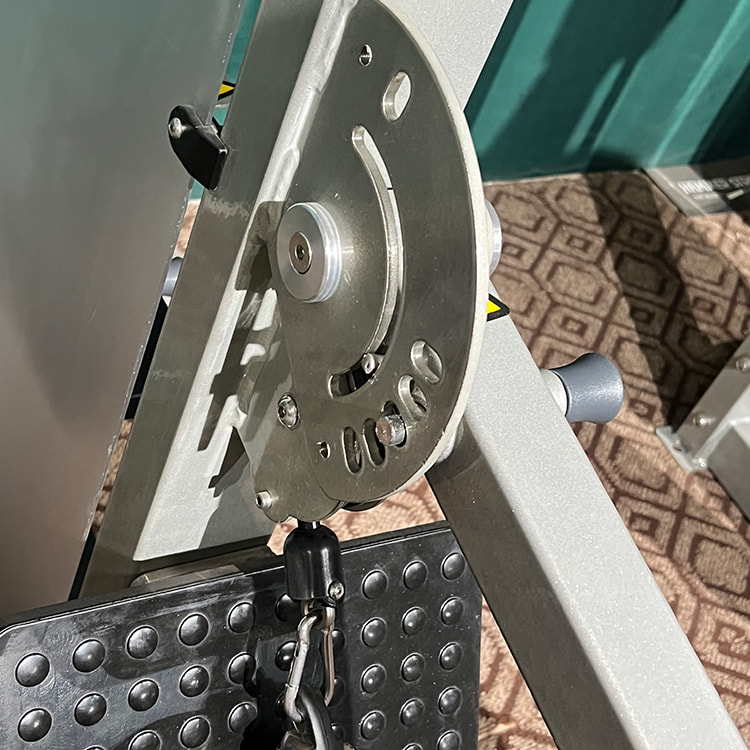 Muscoli con elevata trazione all'indietro<br />HS-PD Muscoli con elevata trazione all'indietro<br />HS-PD