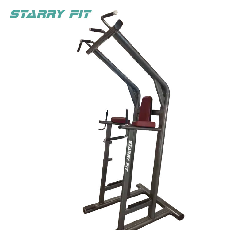 Sollevamento delle gambe<br />LF-L-SCDLR Sollevamento delle gambe<br />LF-L-SCDLR