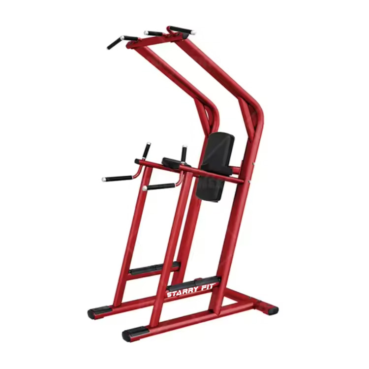 Sollevamento delle gambe<br />LF-L-SCDLR