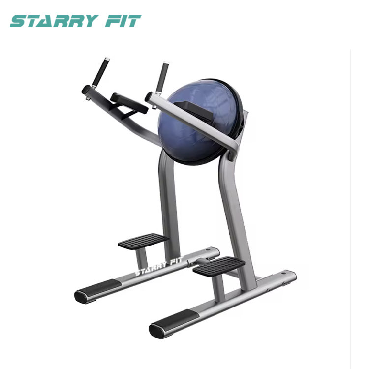 Sollevamento gambe<br />LF-R-SLR Sollevamento gambe<br />LF-R-SLR