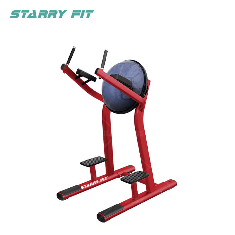 Sollevamento gambe<br />LF-R-SLR Sollevamento gambe<br />LF-R-SLR