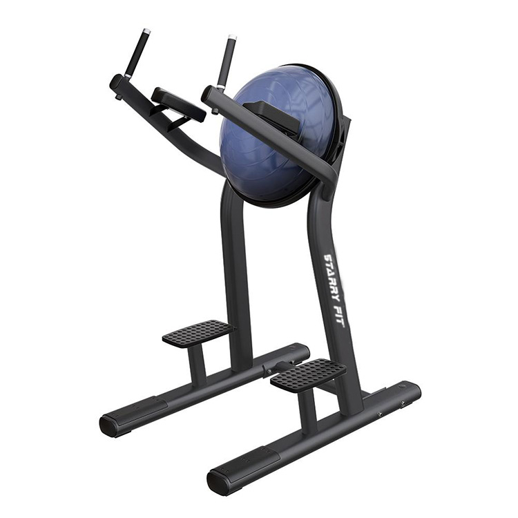 Sollevamento gambe<br />LF-R-SLR